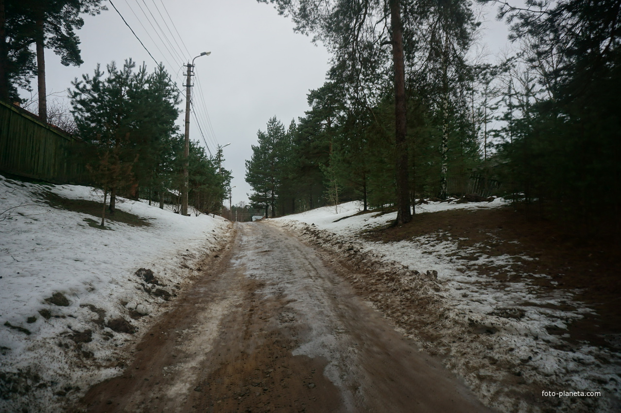 Сестрорецк п.Разлив.
