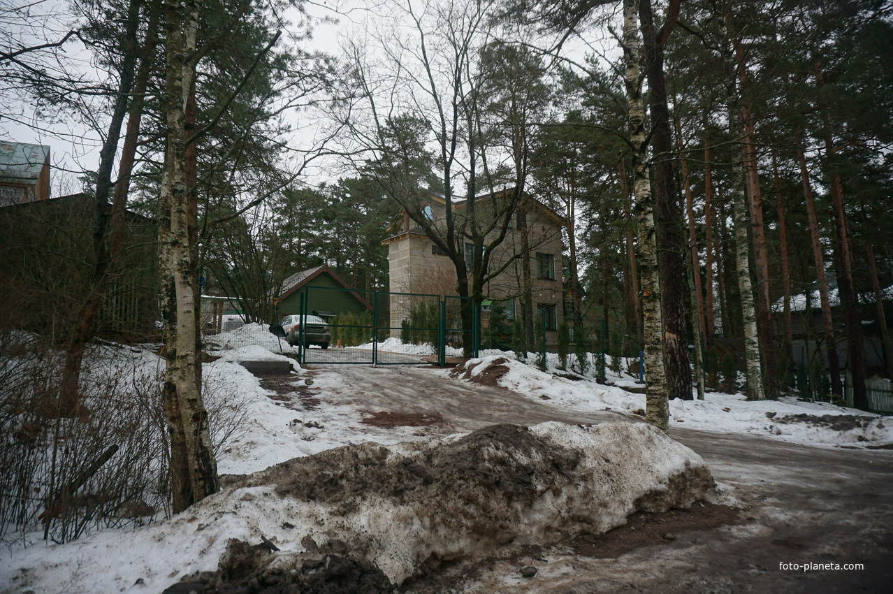 Сестрорецк п.Разлив.