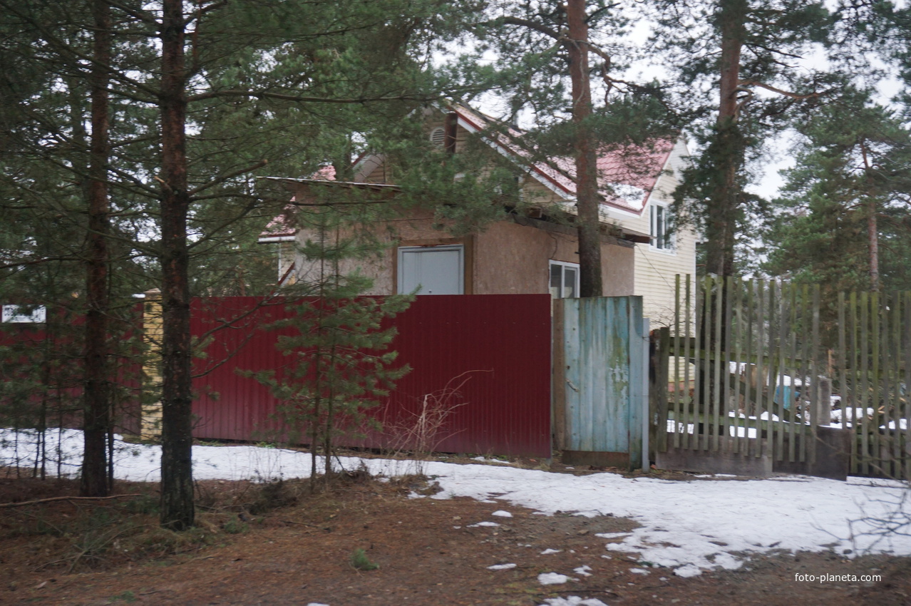 Сестрорецк п.Разлив.