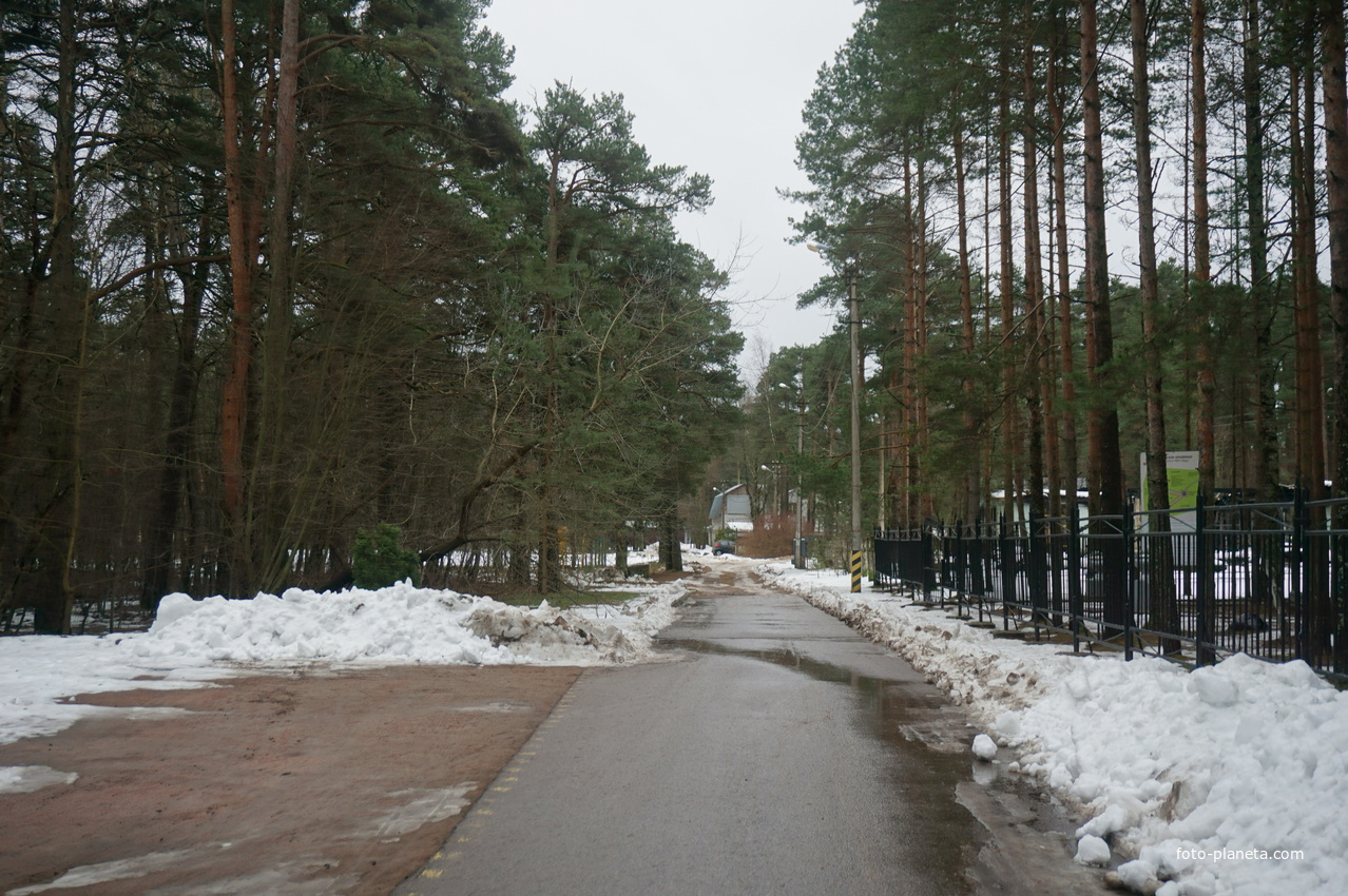 Сестрорецк п.Разлив.