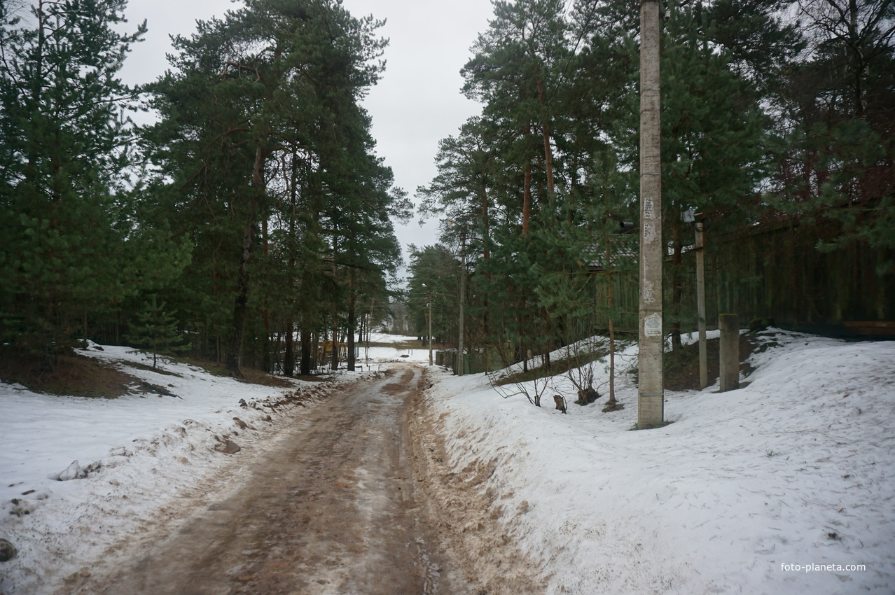 Сестрорецк п.Разлив.