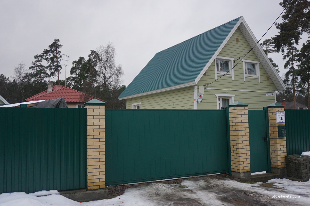 Сестрорецк п.Разлив.