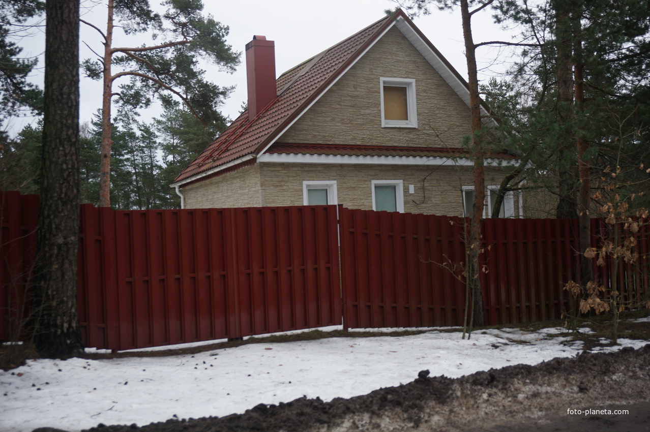 Сестрорецк п.Разлив.