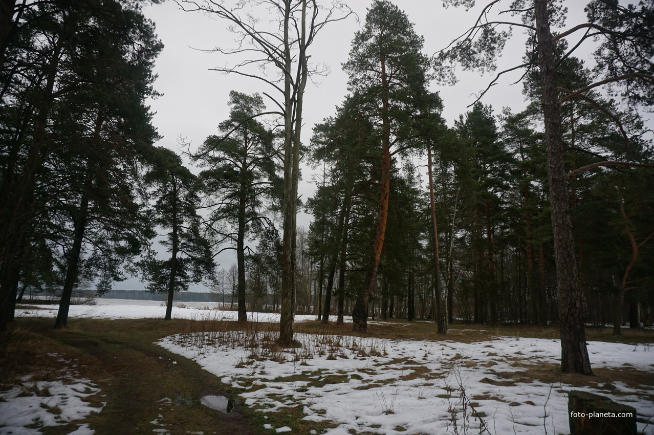 Сестрорецк п.Разлив.