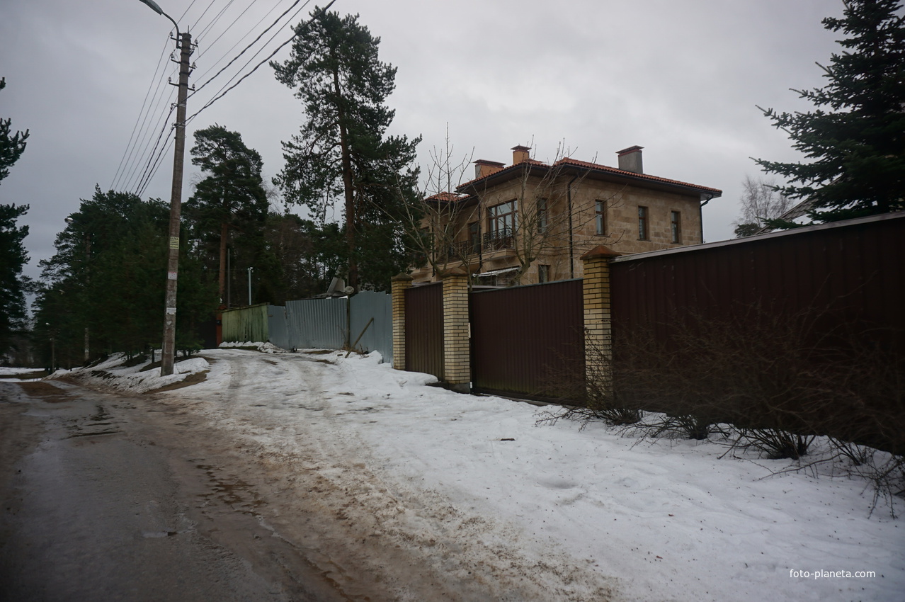 Сестрорецк п.Разлив.