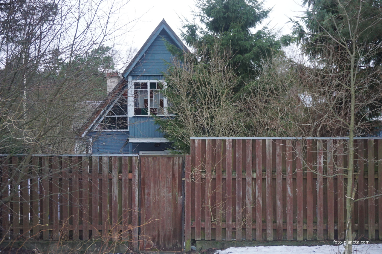 Сестрорецк п.Разлив.