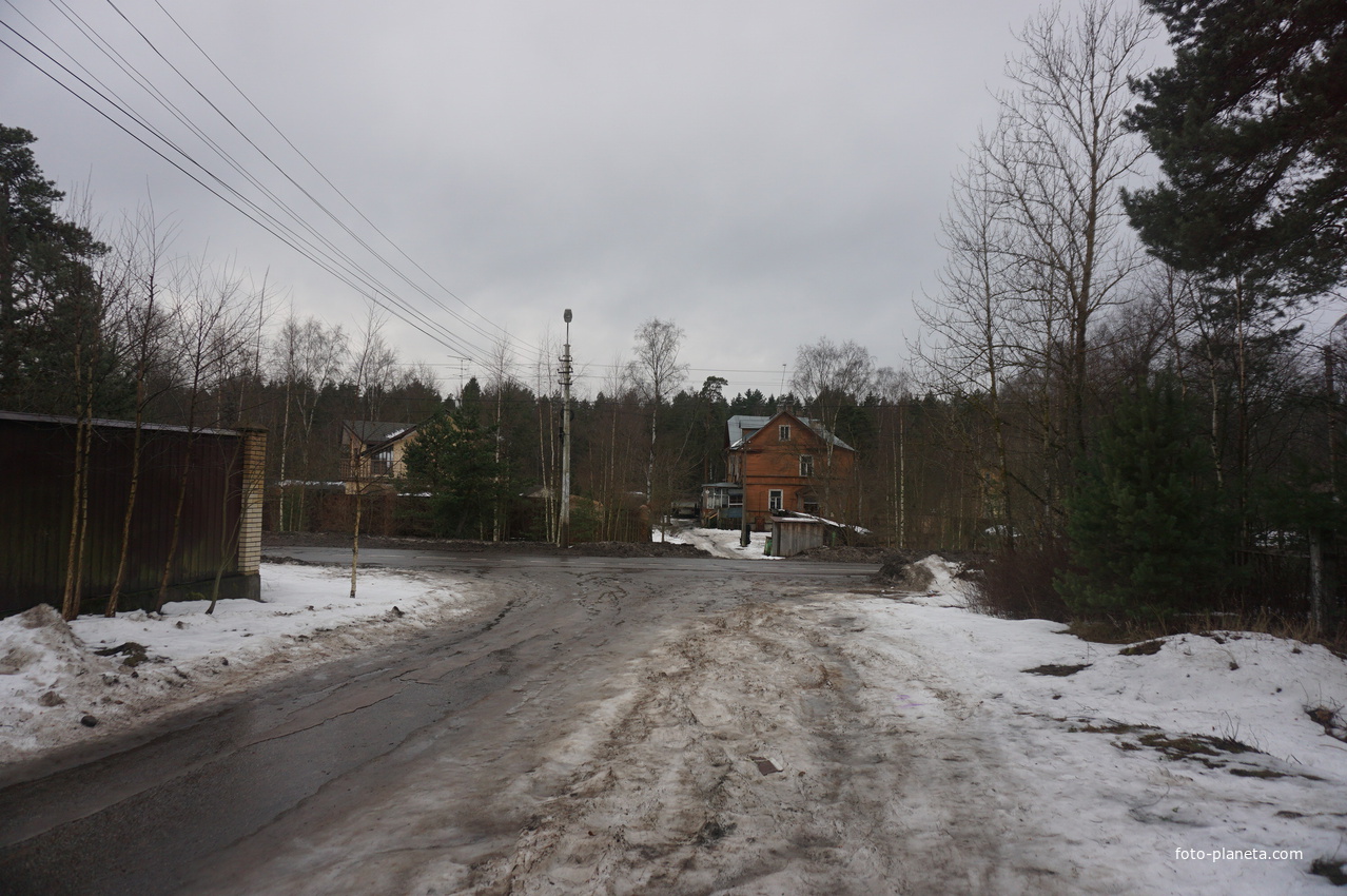 Сестрорецк п.Разлив.