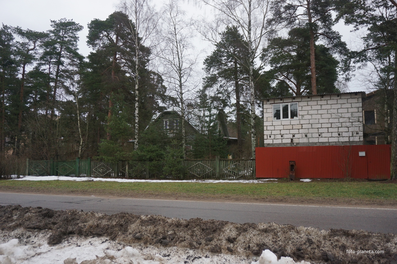 Сестрорецк п.Разлив.