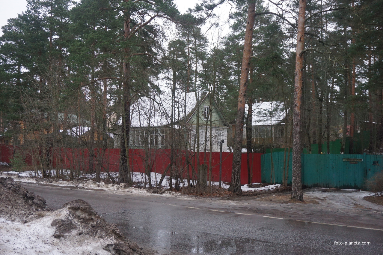 Сестрорецк п.Разлив.