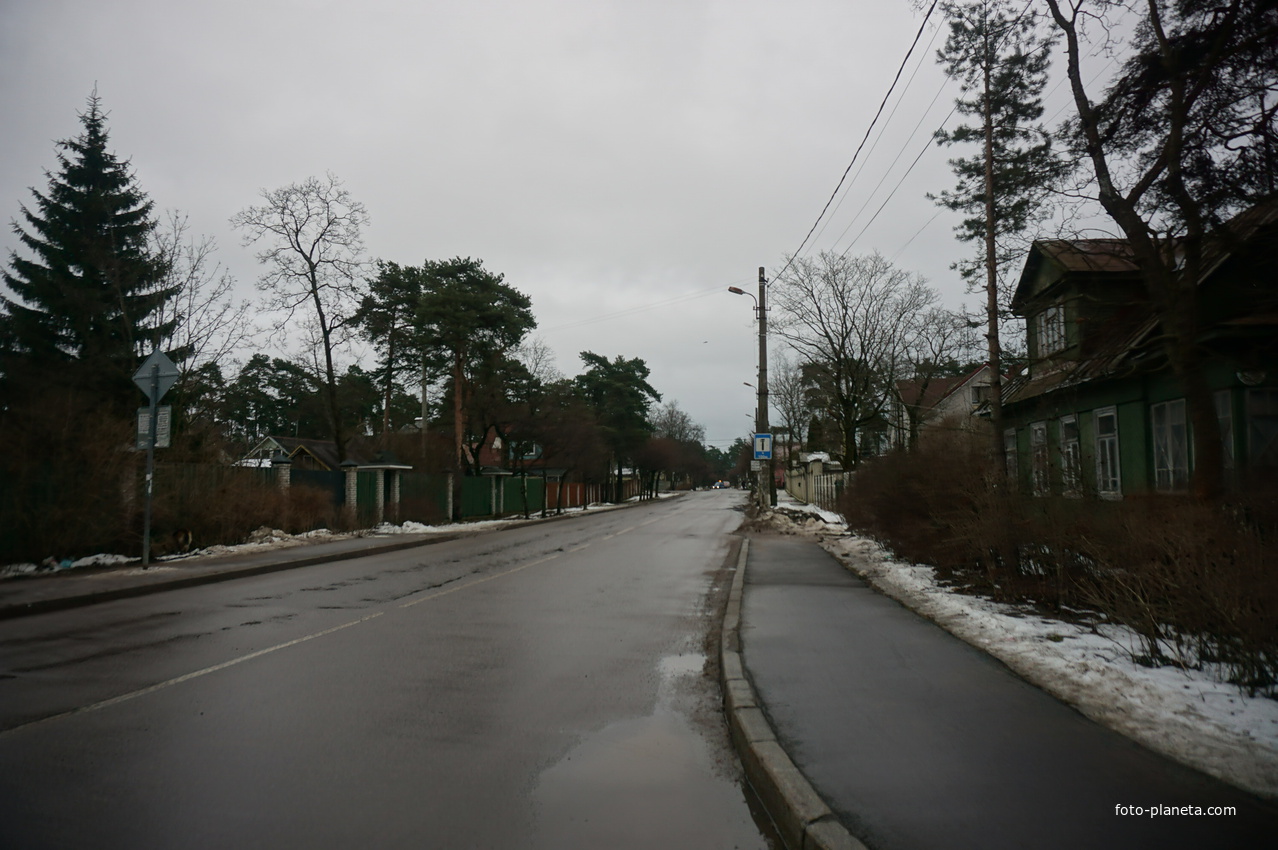 Сестрорецк п.Разлив.