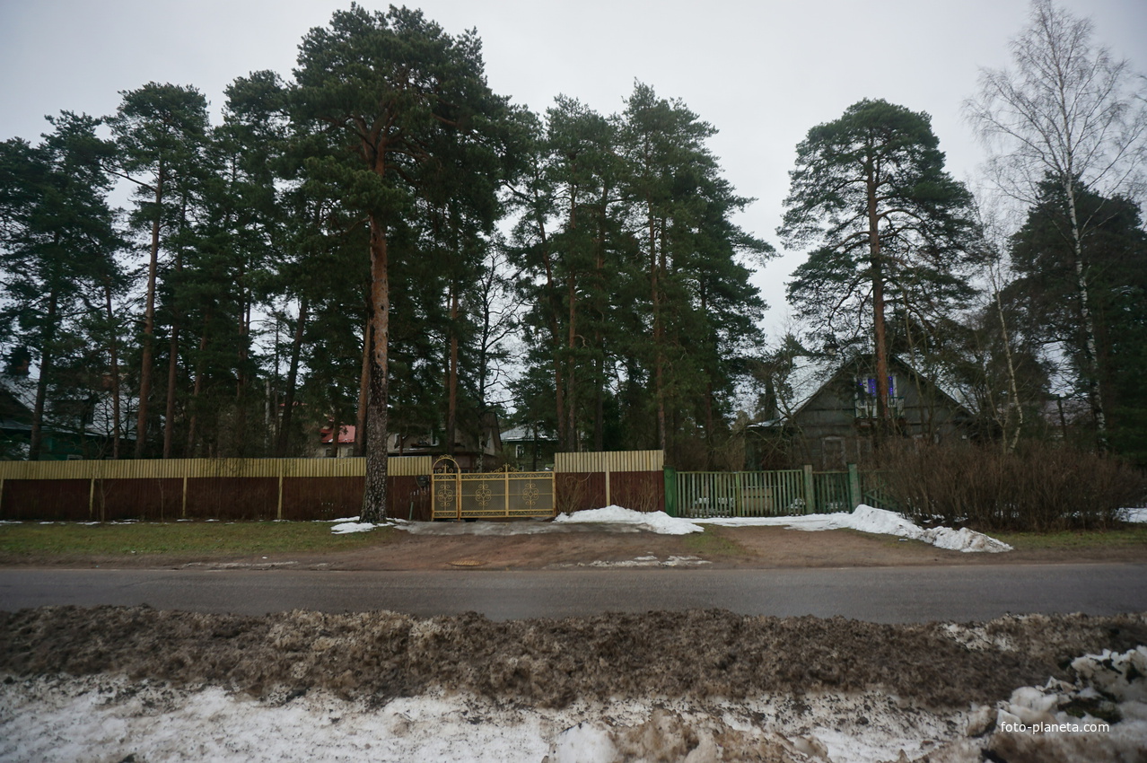 Сестрорецк п.Разлив.