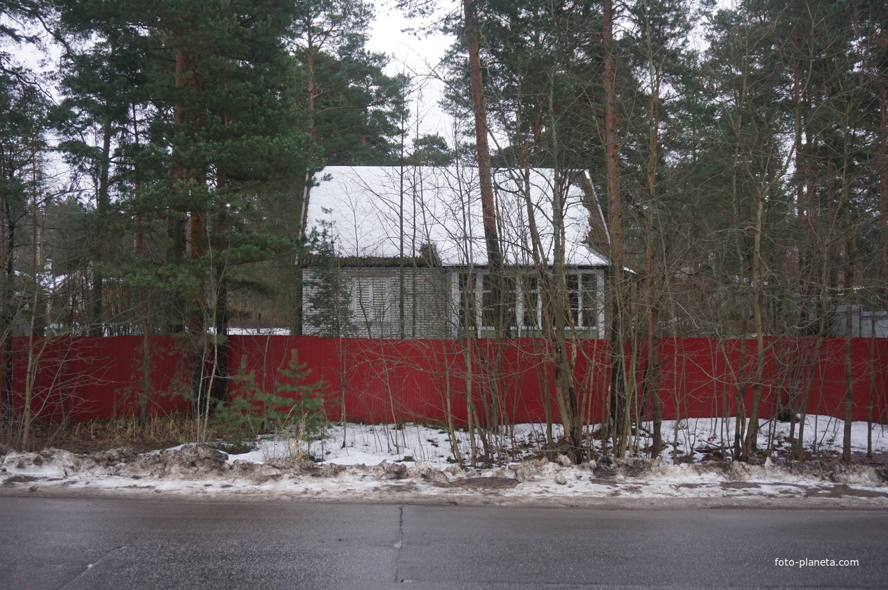 Сестрорецк п.Разлив.