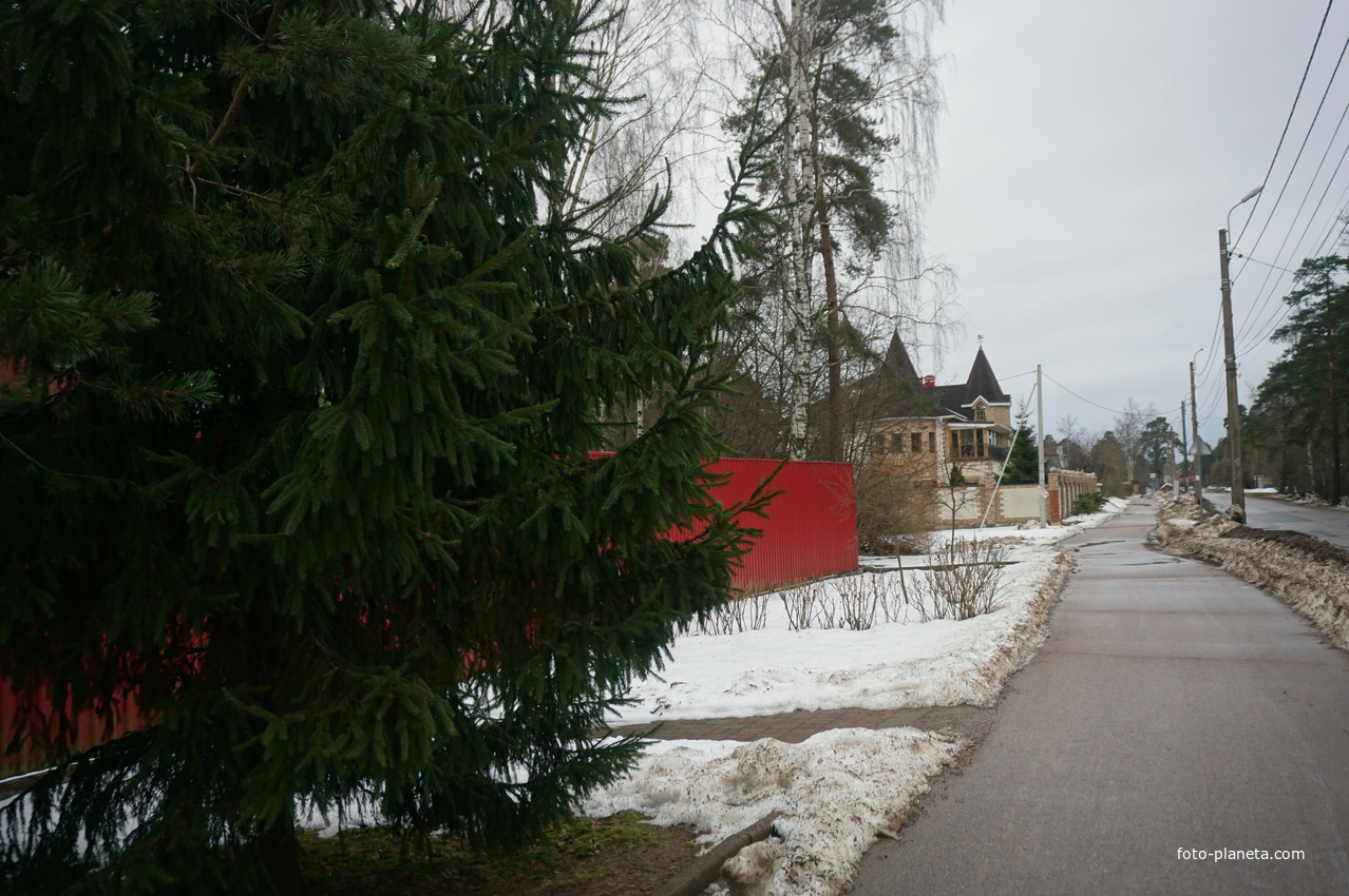 Сестрорецк п.Разлив.