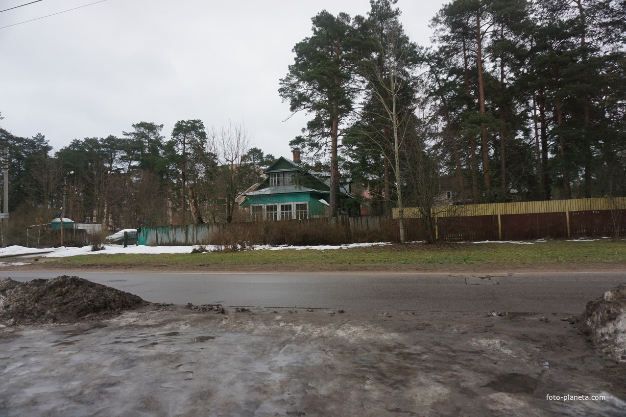 Сестрорецк п.Разлив.