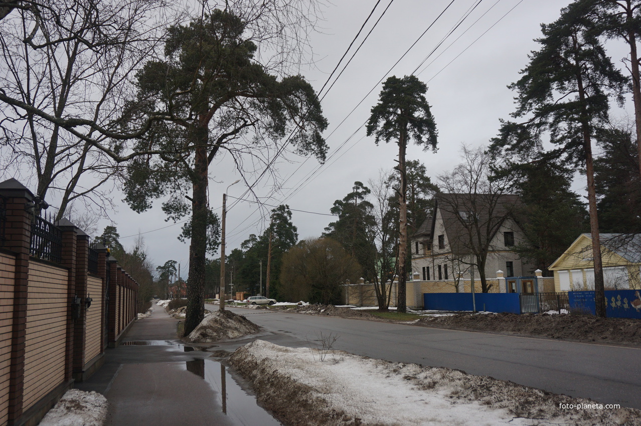 Сестрорецк п.Разлив.