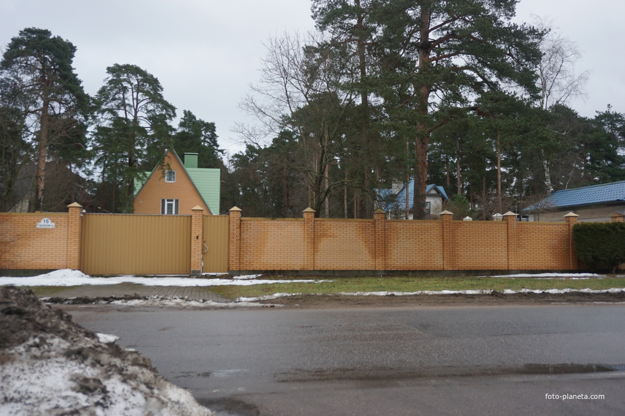 Сестрорецк п.Разлив.