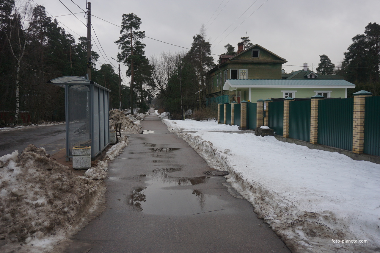 Сестрорецк п.Разлив.