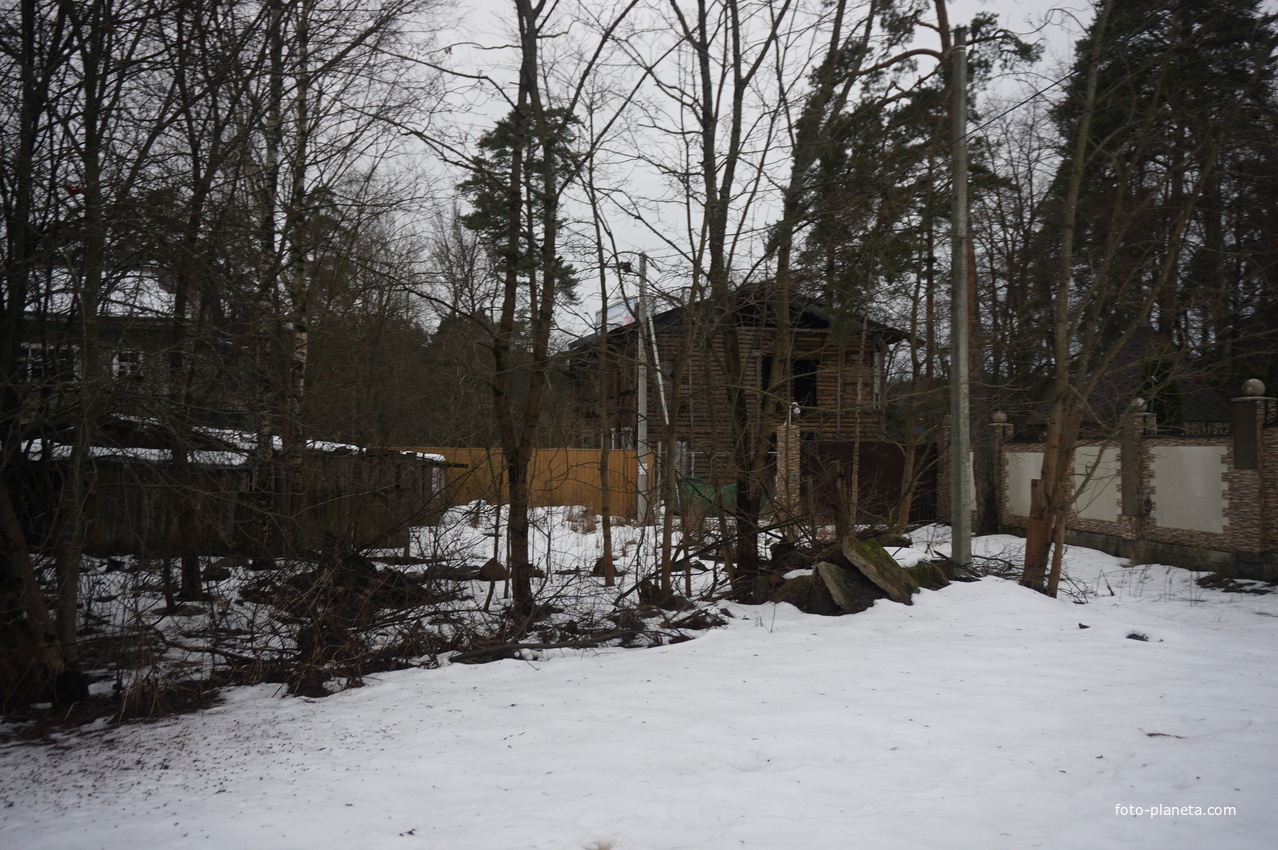 Сестрорецк п.Разлив.