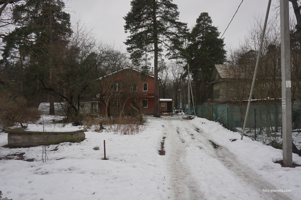 Сестрорецк п.Разлив.