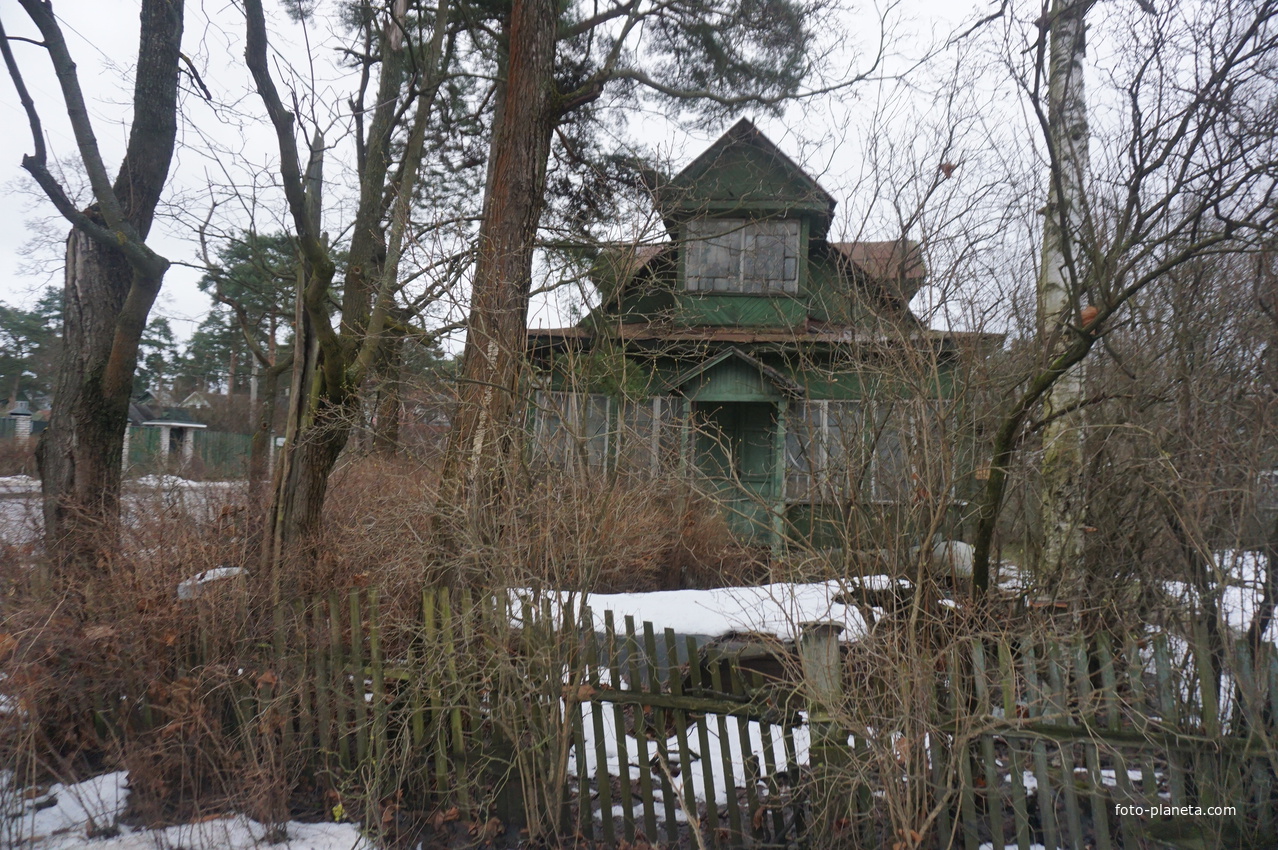 Сестрорецк п.Разлив.