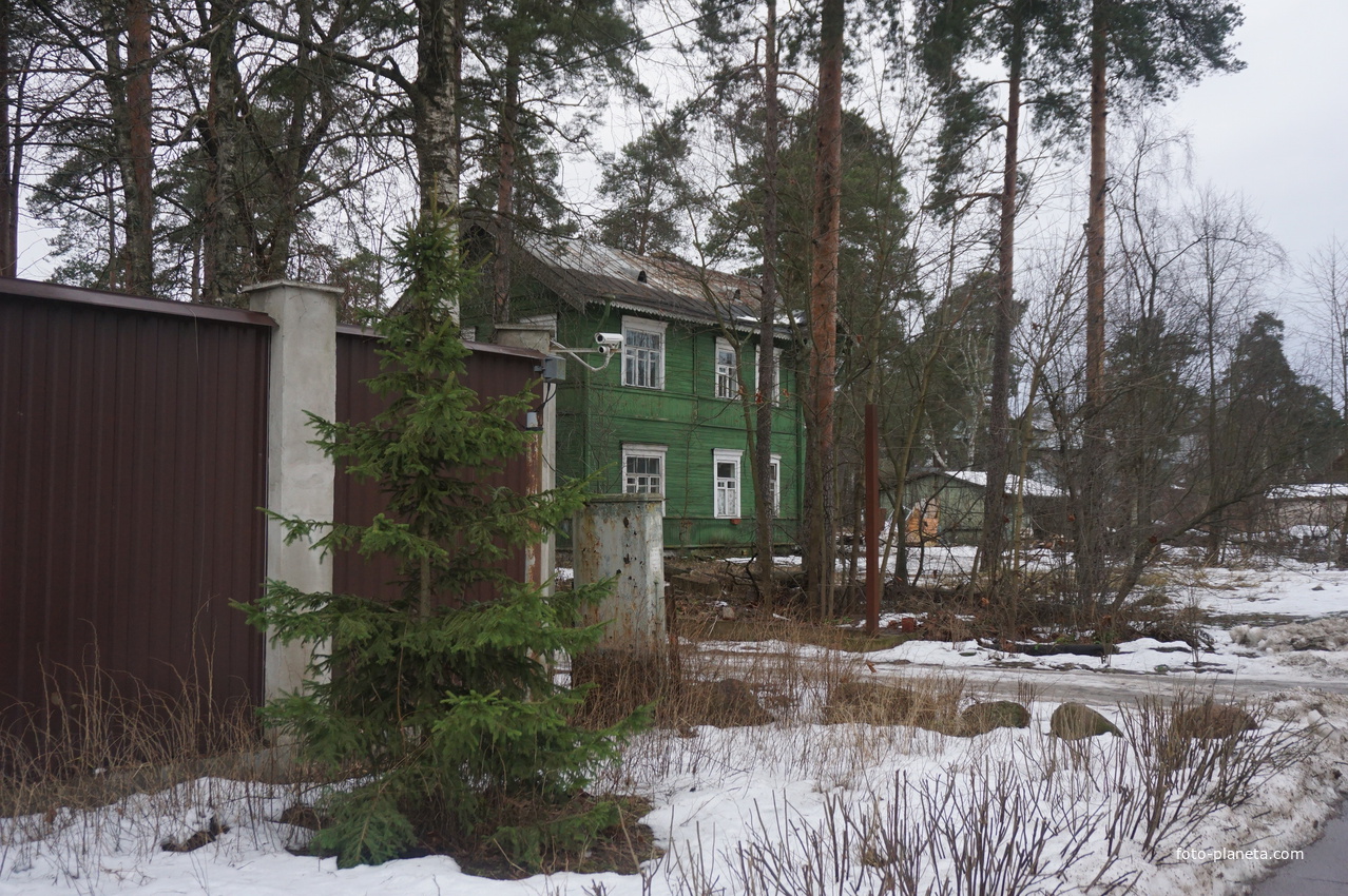 Сестрорецк п.Разлив.