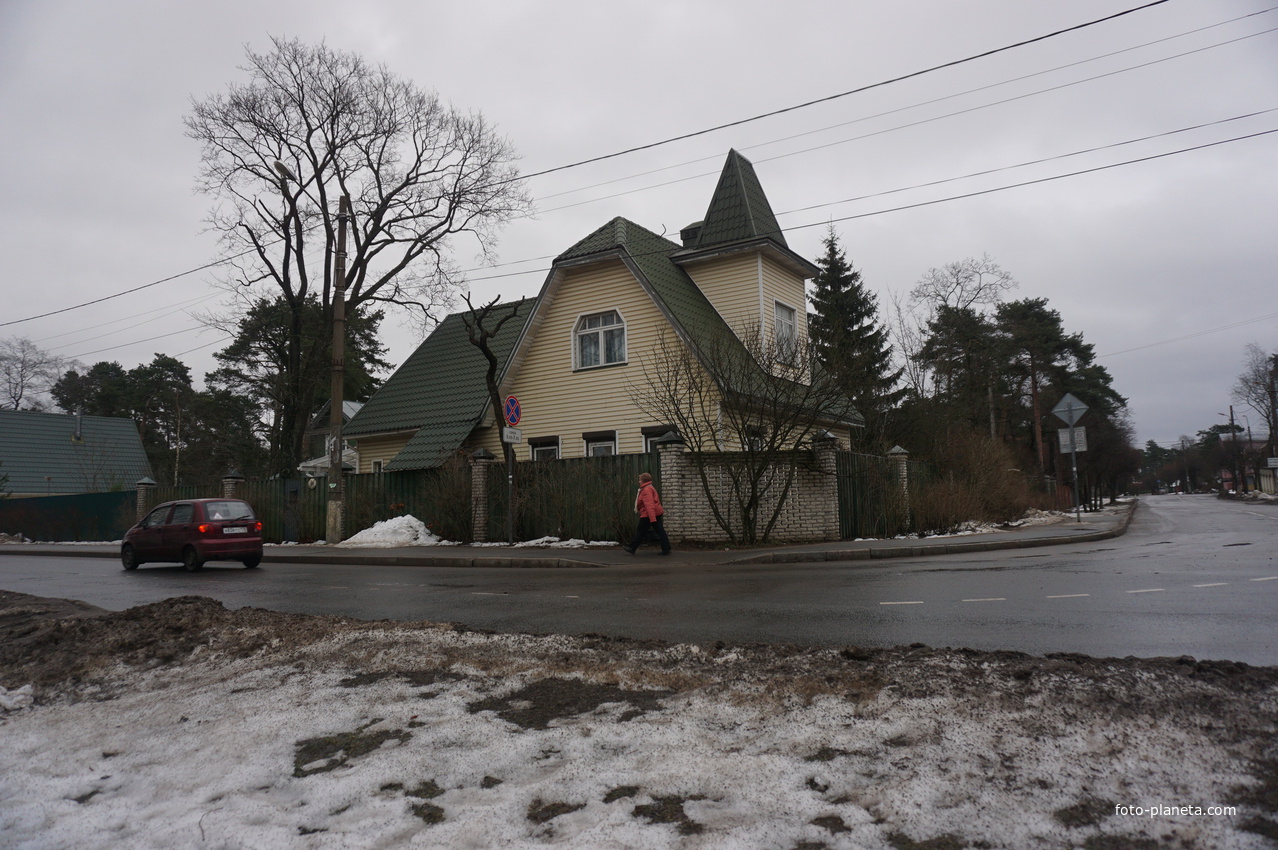 Сестрорецк п.Разлив.