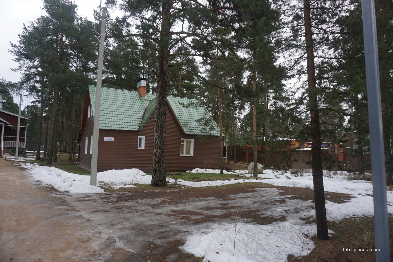 Сестрорецк п.Разлив.