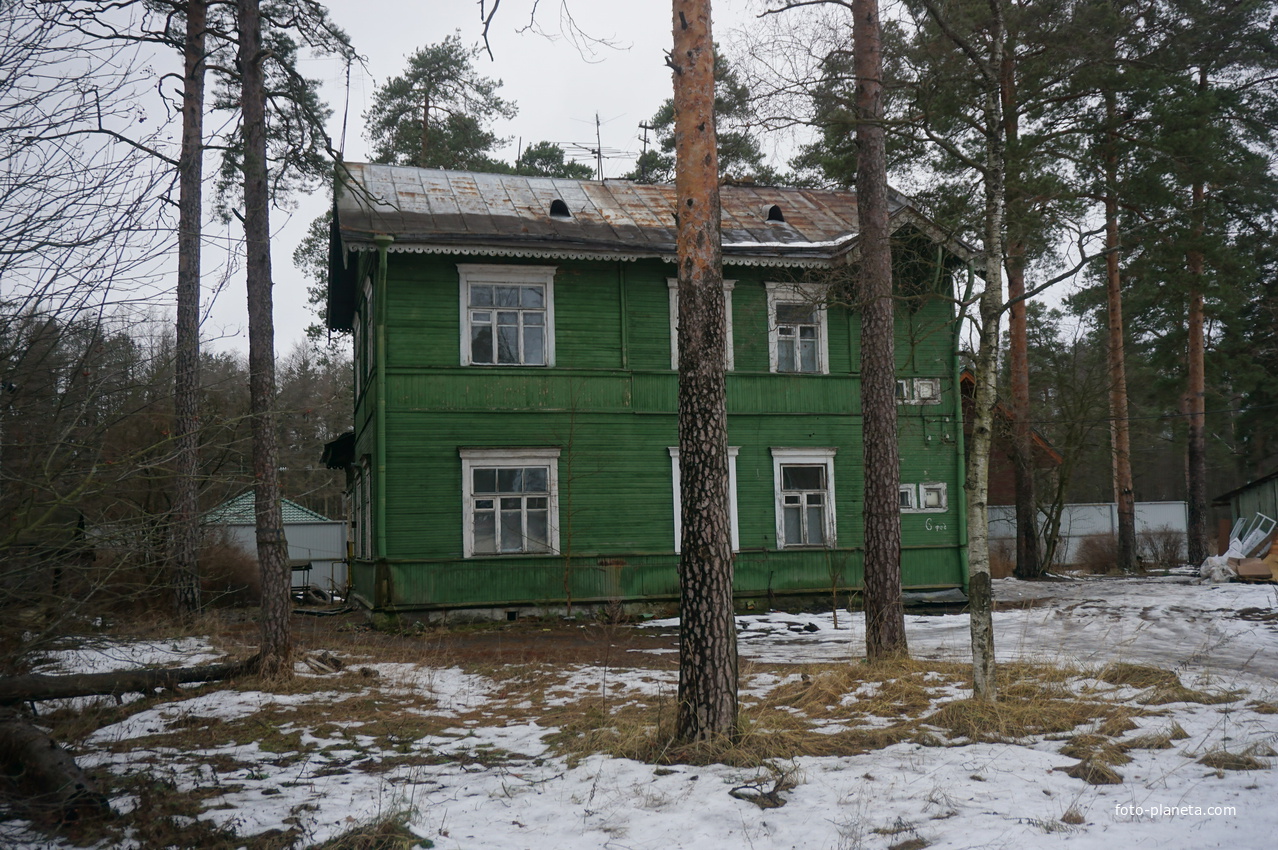 лагерь сестрорецк