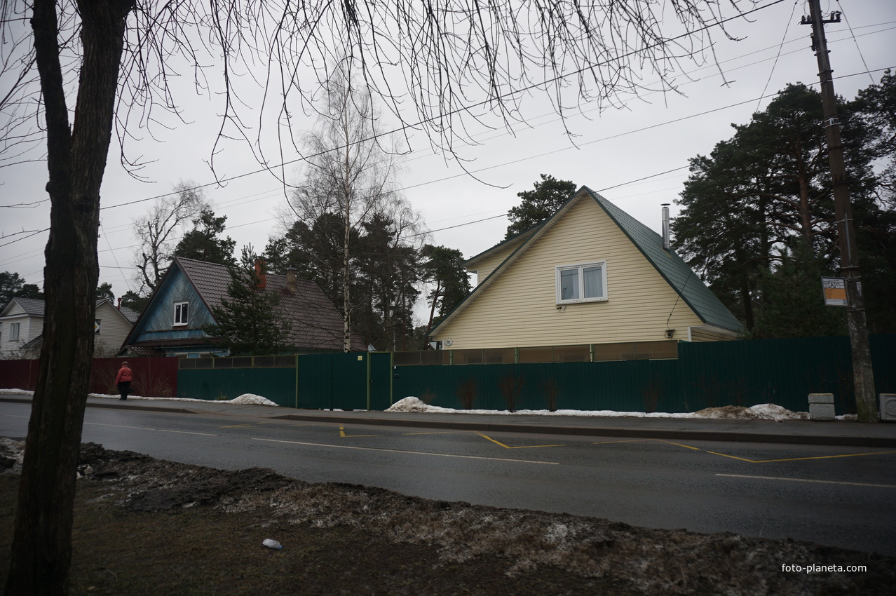 Сестрорецк п.Разлив.