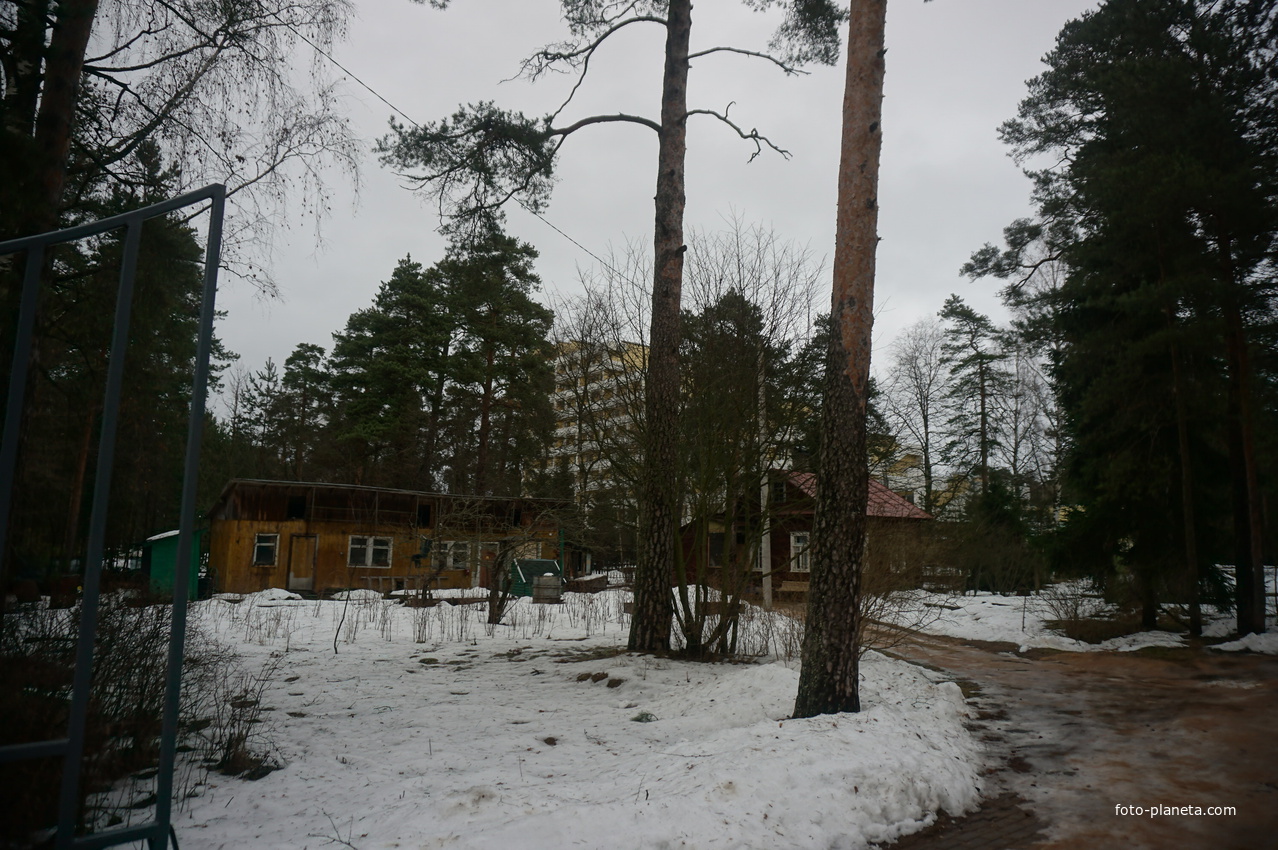 Сестрорецк п.Разлив.