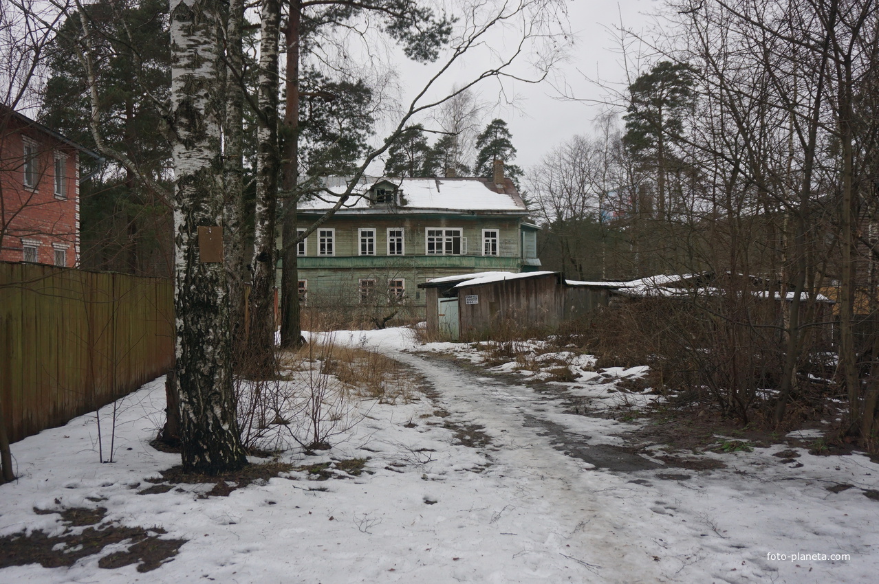 Сестрорецк п.Разлив.