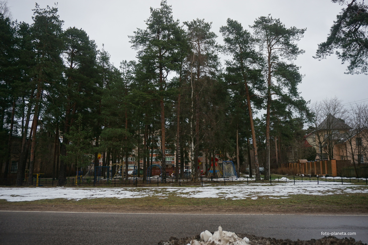 Сестрорецк п.Разлив.