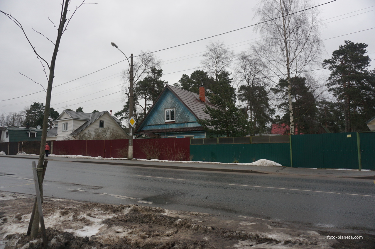 Сестрорецк п.Разлив.