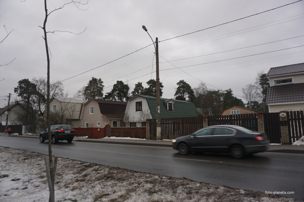 Сестрорецк п.Разлив.