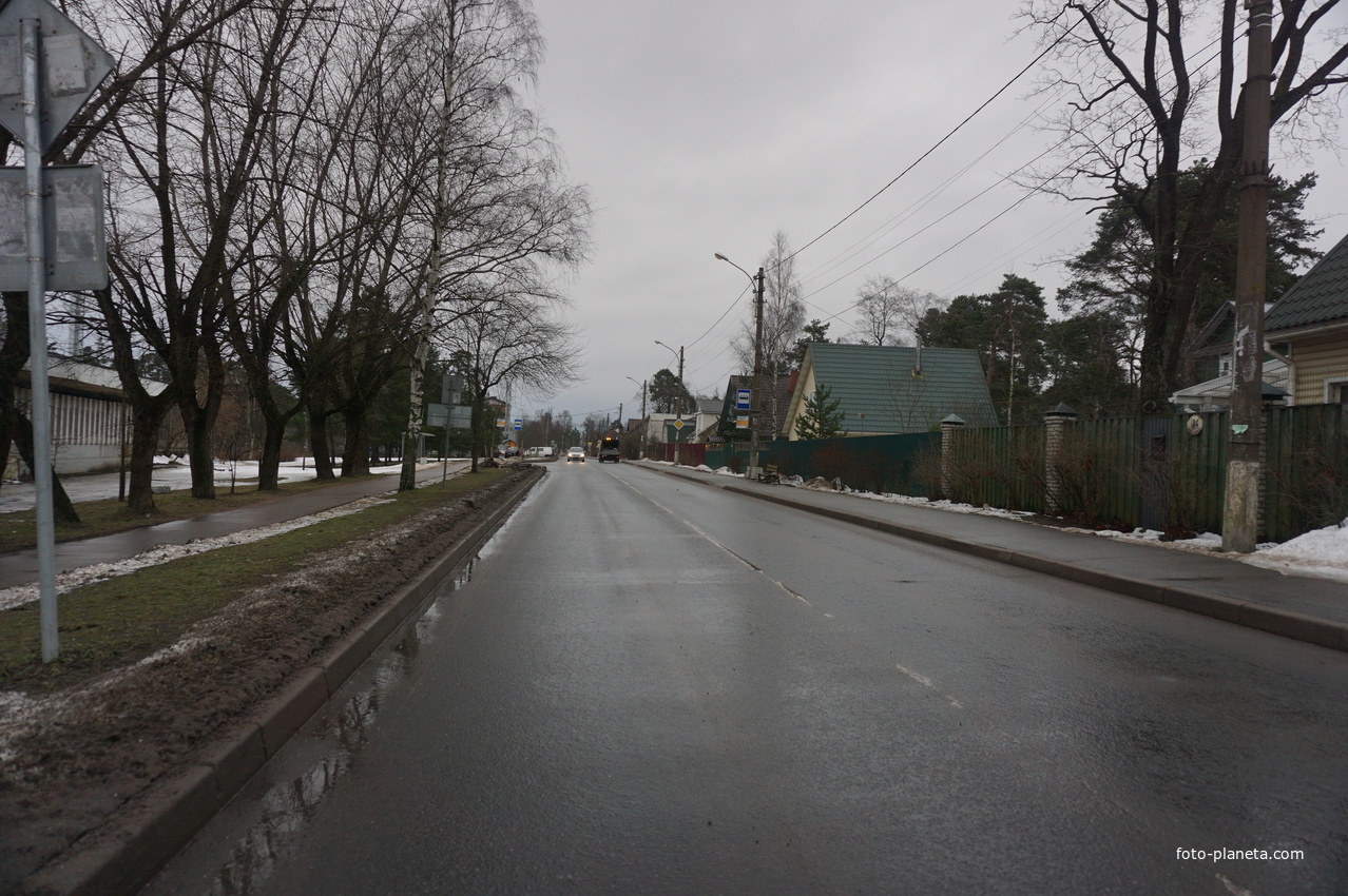 Сестрорецк п.Разлив.