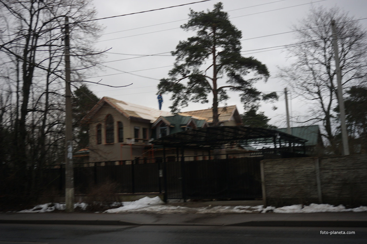 Сестрорецк п.Разлив.