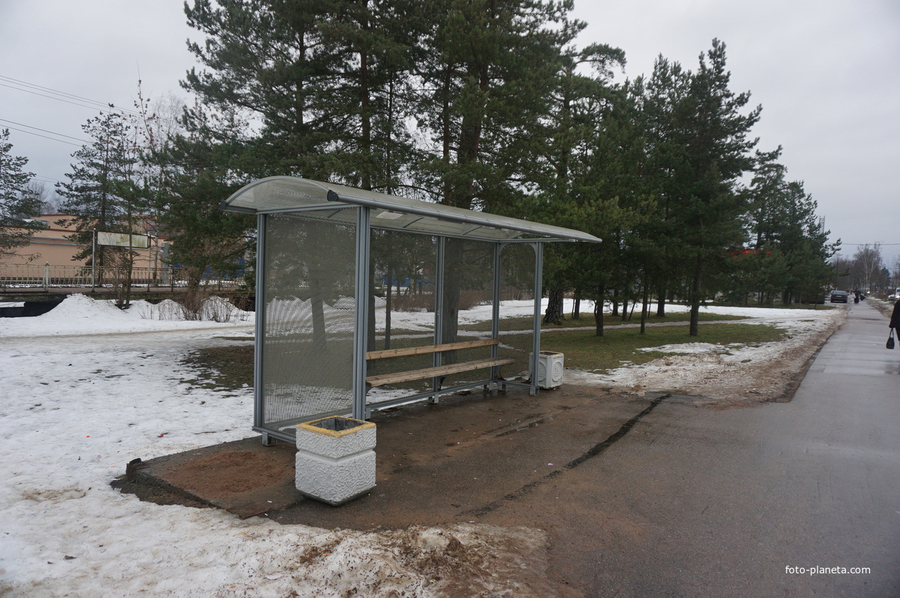 Сестрорецк п.Разлив.