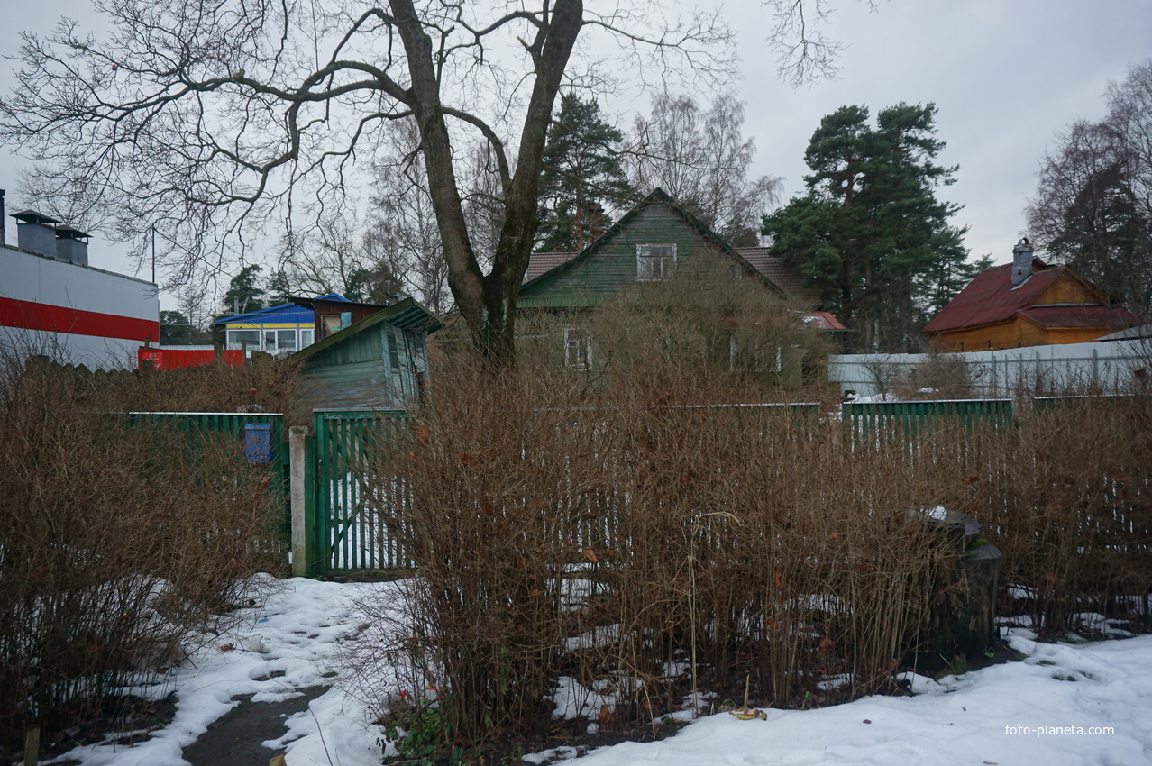 Сестрорецк п.Разлив.