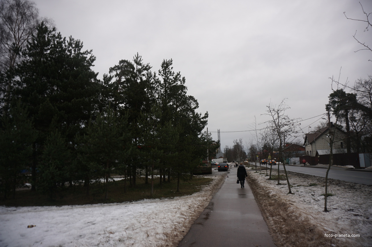 Сестрорецк п.Разлив.