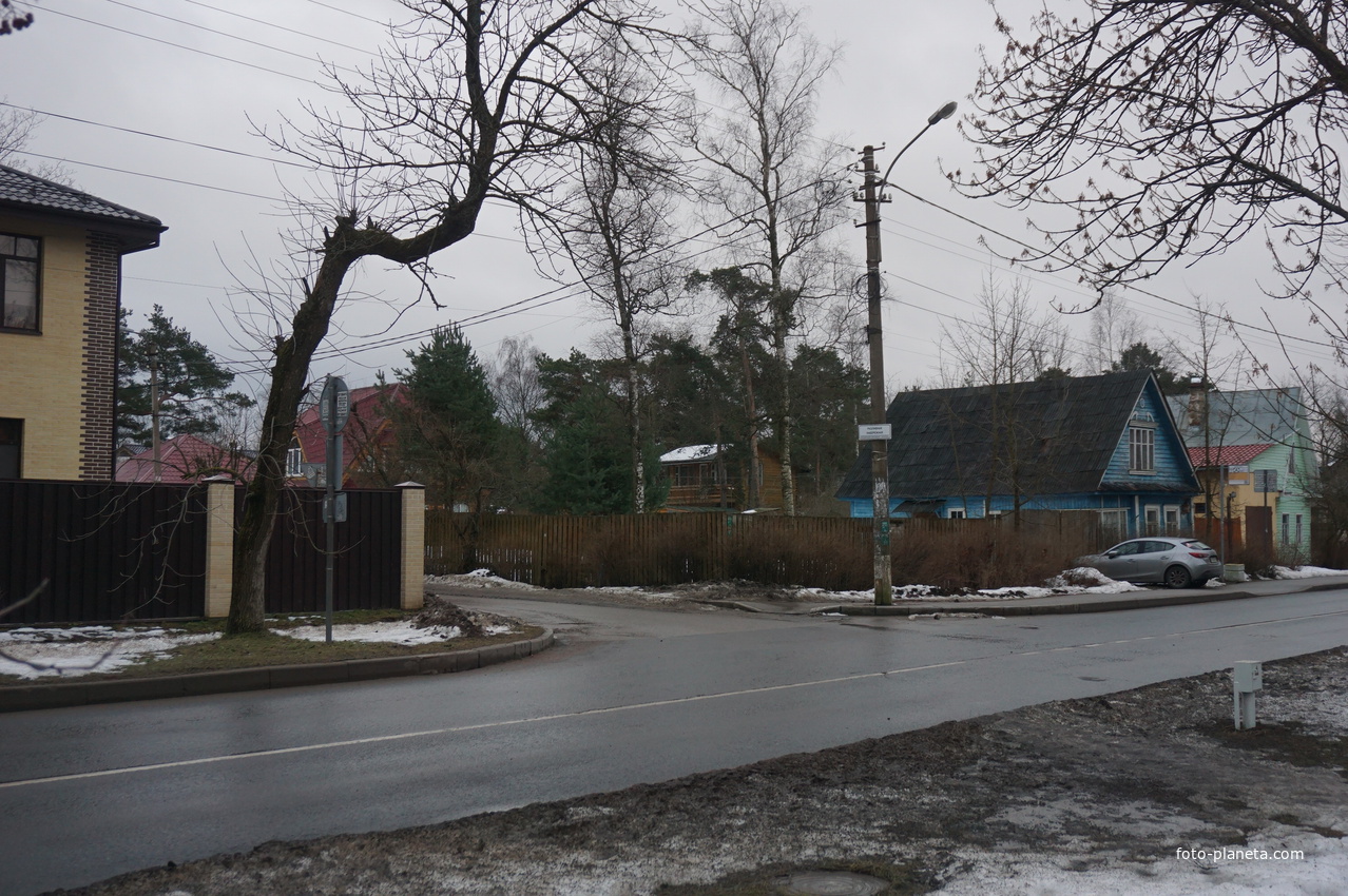 Сестрорецк п.Разлив.