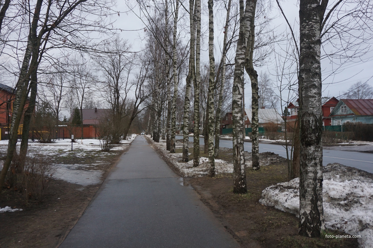 Сестрорецк п.Разлив.