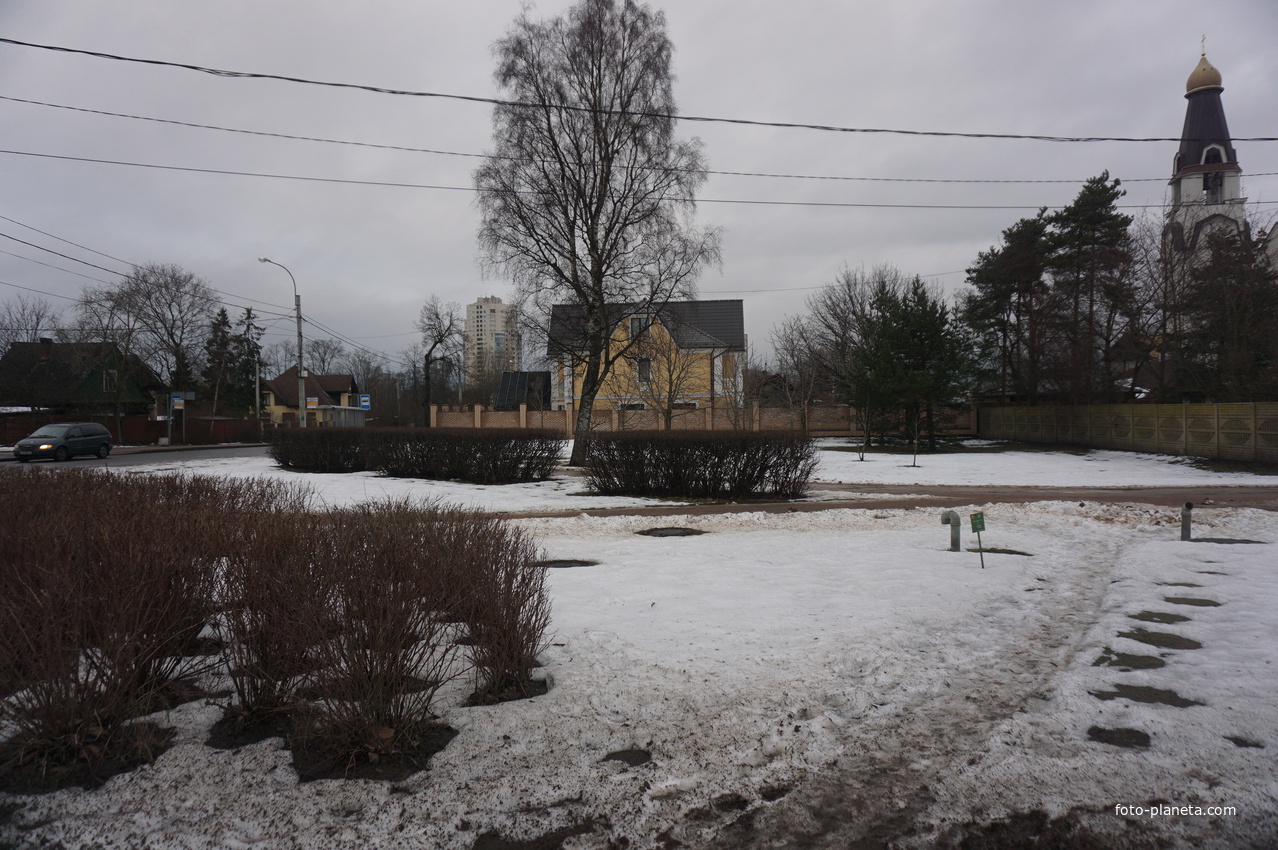 Сестрорецк п.Разлив.