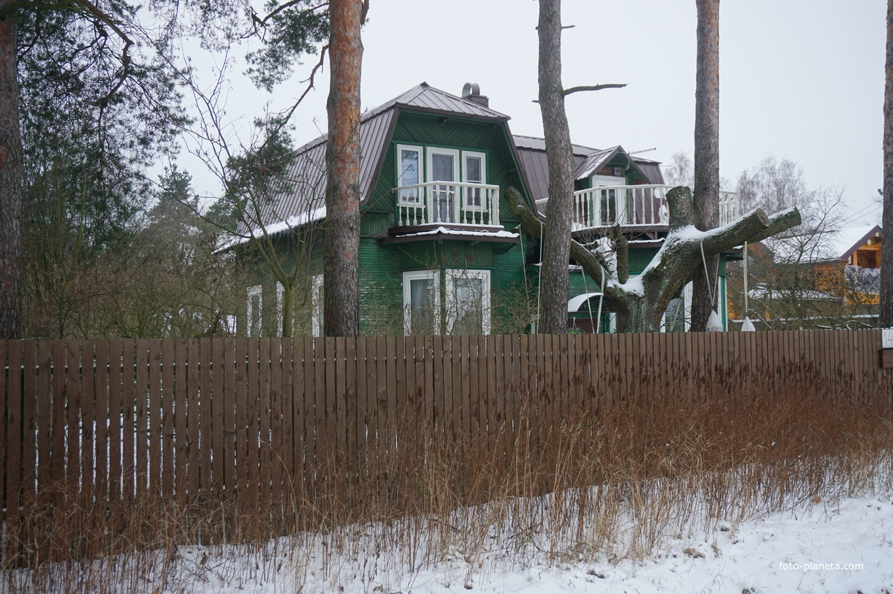 Лахта.Ольгино