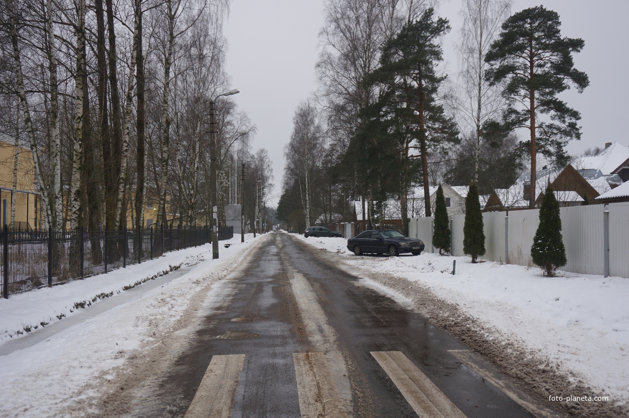 Лахта.Ольгино