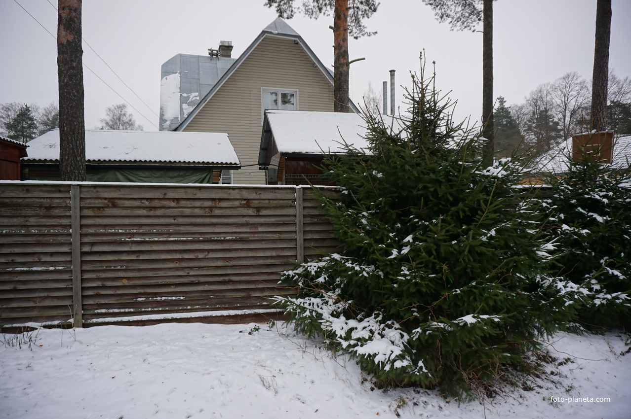 Лахта.Ольгино