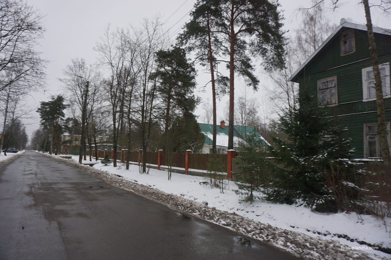 Лахта.Ольгино