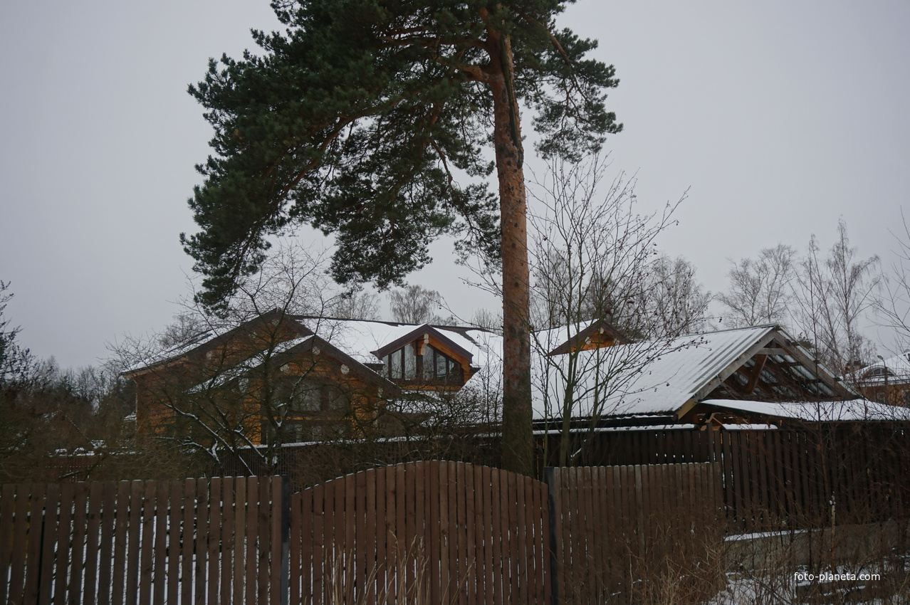 Лахта.Ольгино