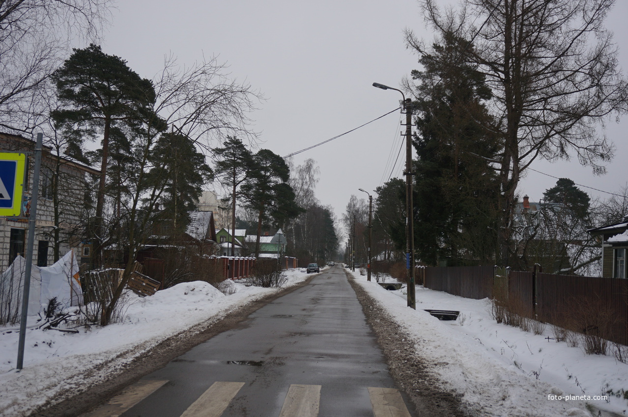 Лахта.Ольгино