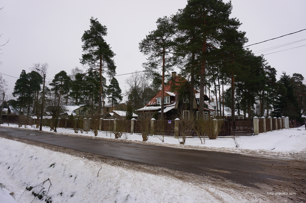 Лахта.Ольгино