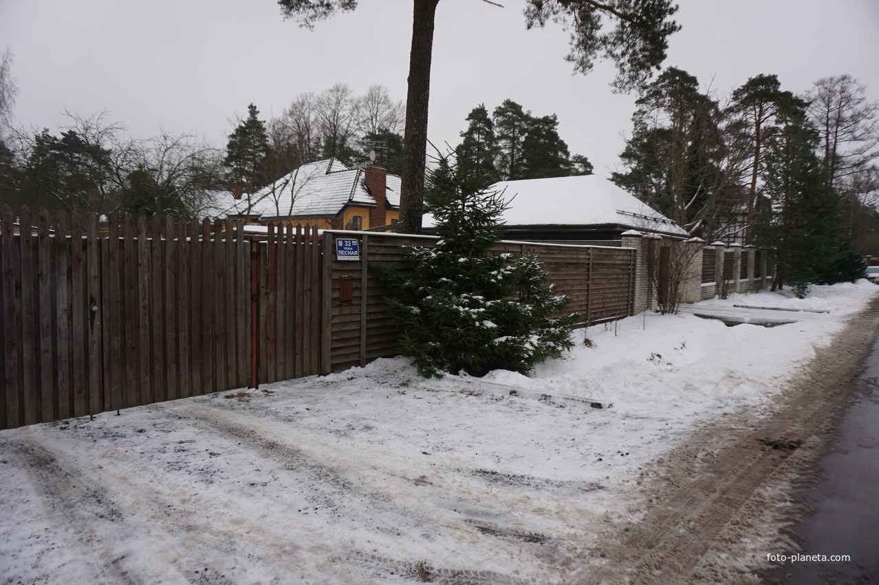 Лахта.Ольгино